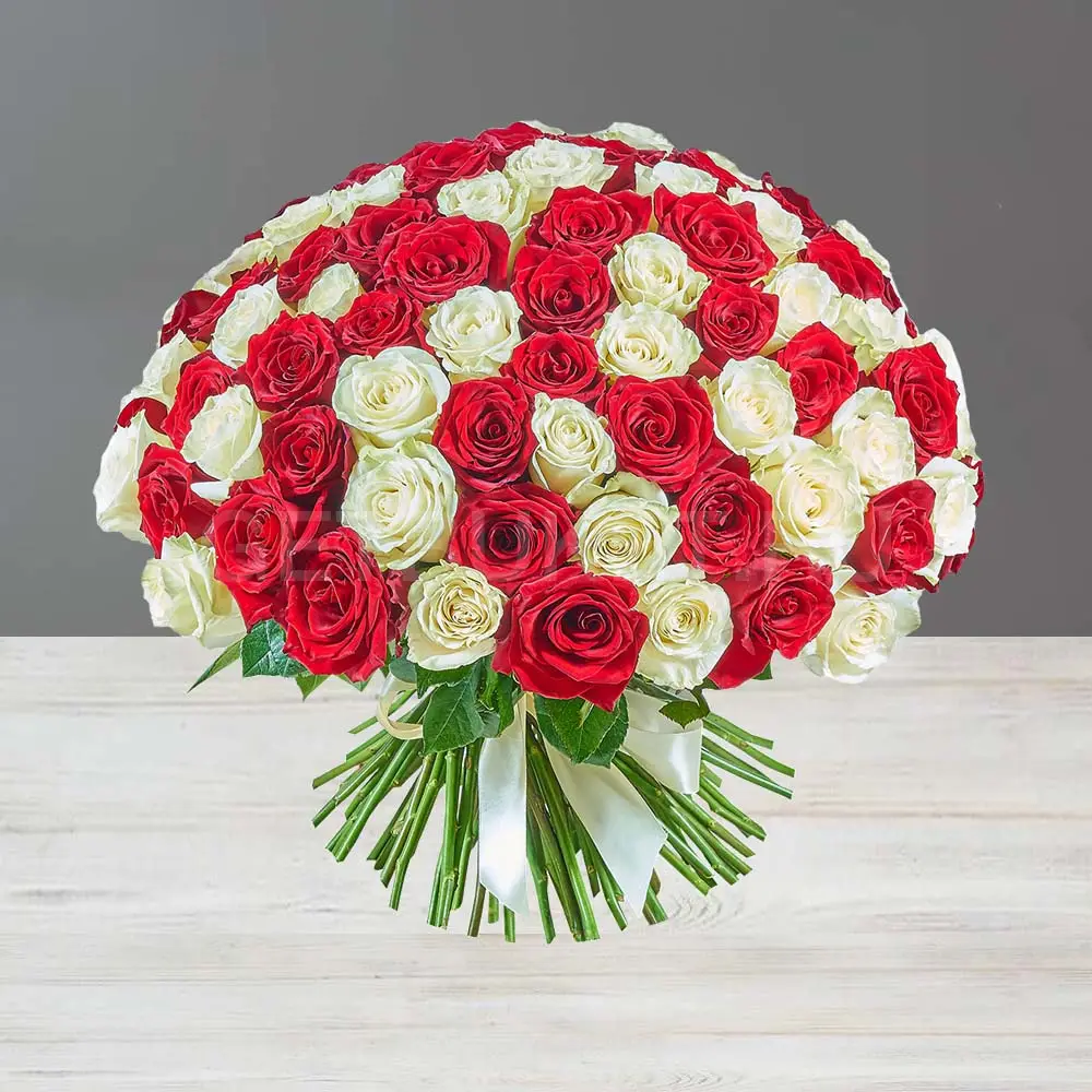126624 Букет из 101 бело-красной розы