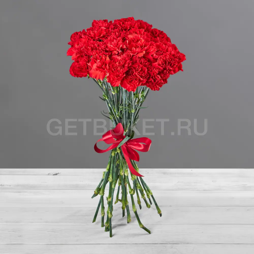 208806 Букет из 25 красных гвоздик